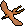 Copperlongtail.png