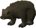 Grizzly bear.png